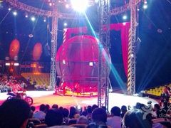 iphone_upload_pic-环球城国际大马戏