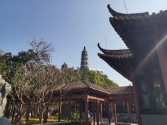 -顺峰山公园