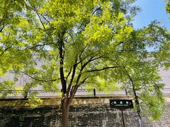 -西安市广仁寺