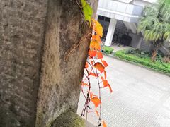 -西南政法大学(沙坪坝校区)