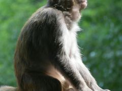 -黔灵山公园