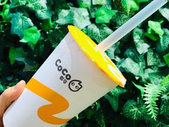 -CoCo都可(合生汇店)