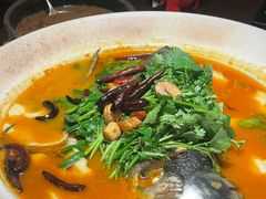 山茶油丹江大鱼头-清水亭湖北菜(大屯DT51店)