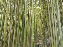 -泰山风景名胜区-普照寺