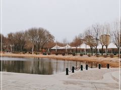 -泰丰公园