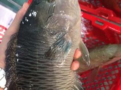 -渔民新村(番禺总店)