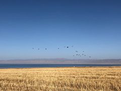-青海湖国家重点风景名胜区