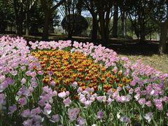 -上海鲜花港