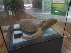 -陕西自然博物馆