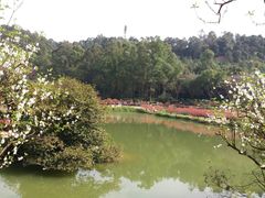 -南国桃园旅游度假区