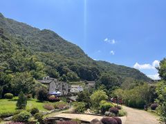 -雁南飞茶田景区