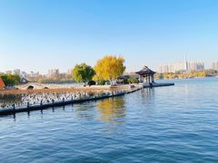 -济南大明湖景区