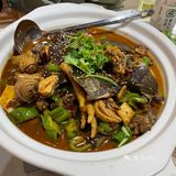 甲鱼鲜活现做享受美食的快乐