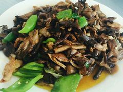 -庆岭迎宾园正宗活鱼馆