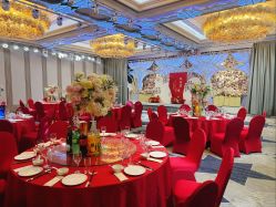 -曼格纳婚礼艺术中心(张江店)