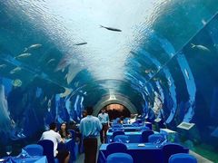 -海棠湾洲际-涛·海底餐厅·美人鱼·自助餐·海底隧道