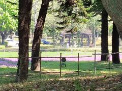 -福建鲤鱼洲酒店