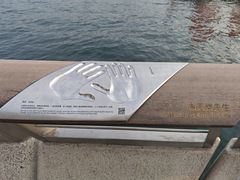 -星光大道