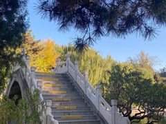 -团结湖公园