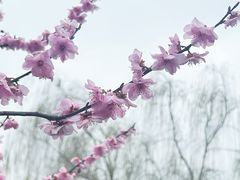 -月湖风景区
