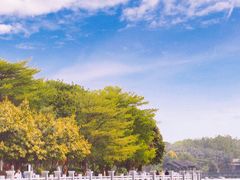 -海珠湖公园