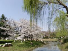 -堤角公园