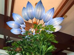 -龙井御庄·精致江南菜(龙井店)