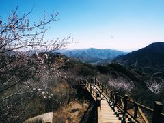 -大岭沟猕猴桃谷风景区