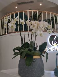 -新蝶变皮肤管理中心