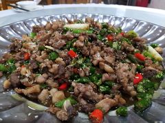 璧山兔-西木兔(大圆祥店)