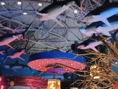 -烟台海昌鲸鲨海洋公园