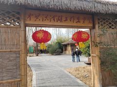 -泗洪洪泽湖湿地景区