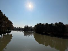 -上海海湾国家森林公园