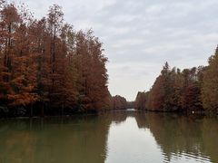 -上海海湾国家森林公园