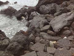 -龙头岩(Dragon Head Rock)
