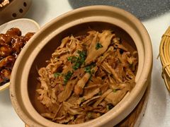 -佬肥猫(七宝宝龙店)