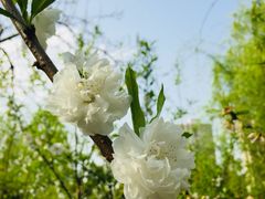 -荆川公园