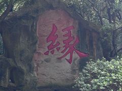 -杭州黄龙洞