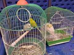 -廊坊固安福朋喜来登酒店