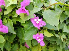 -白沙门生态公园