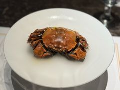 -觀芷隐轩