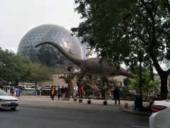 -陕西自然博物馆