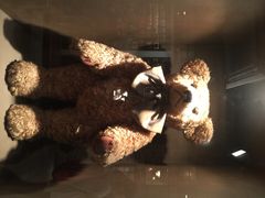 iphone_upload_pic-济州岛泰迪熊博物馆