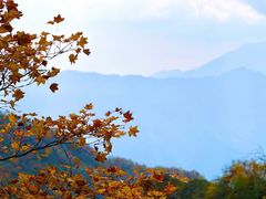 -九峰山