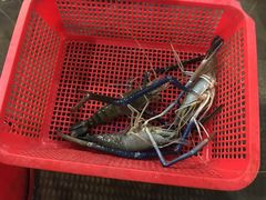 -幸福姐海鲜大排档