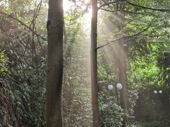 -云溪植物园