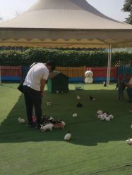 -萌宠亲子动物乐园(槐房万达店)