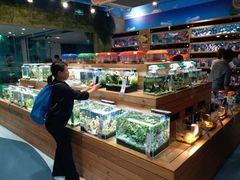 -龟与熊猫宠物公园(南坪店)