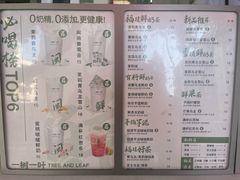 -一树一叶·福建茶档(石鼓路店)