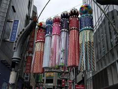 -涩谷区